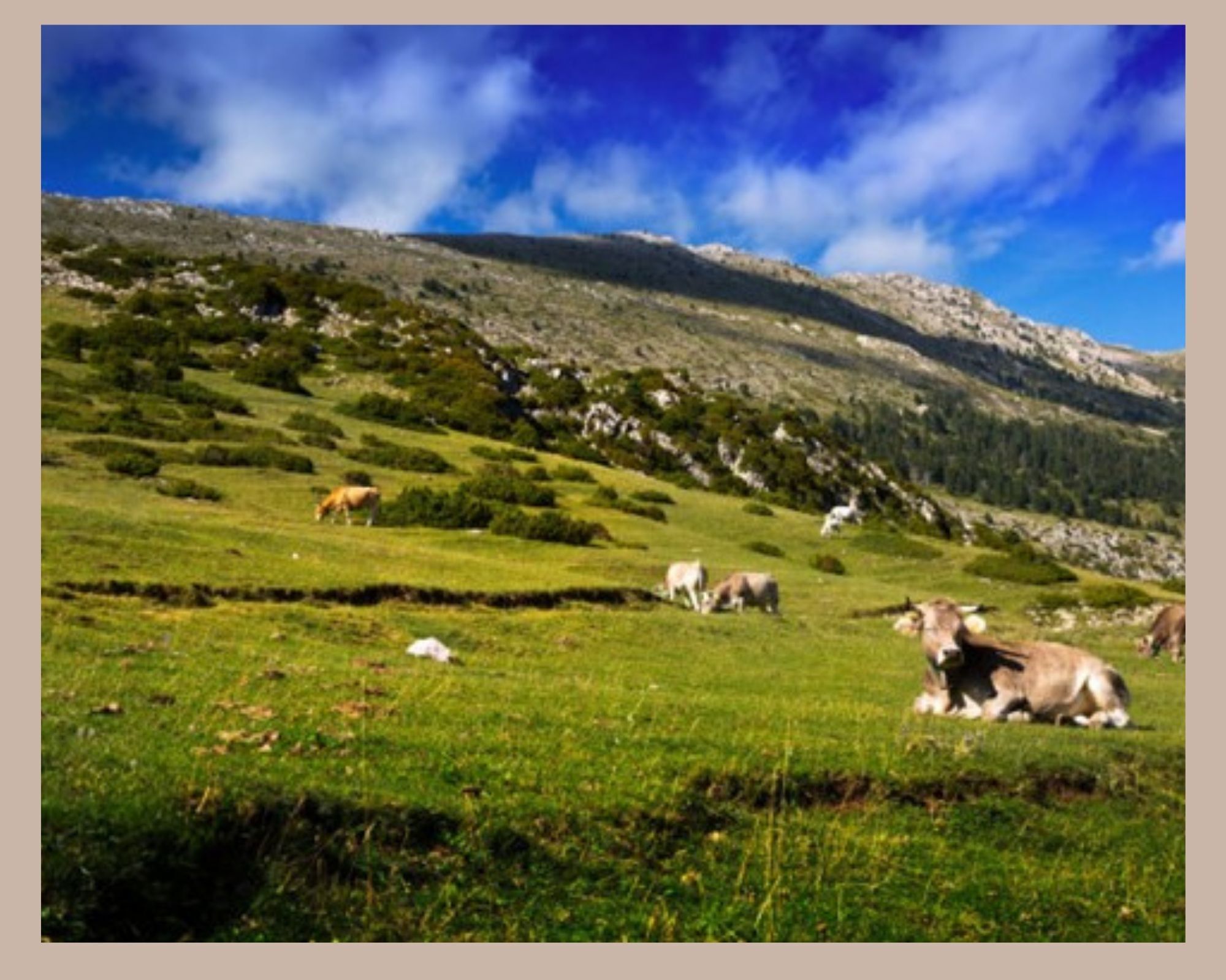 L'agriculture et l'aménagement de la réserve sur notre domaine skiable